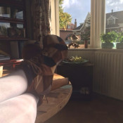 benen op tafel
